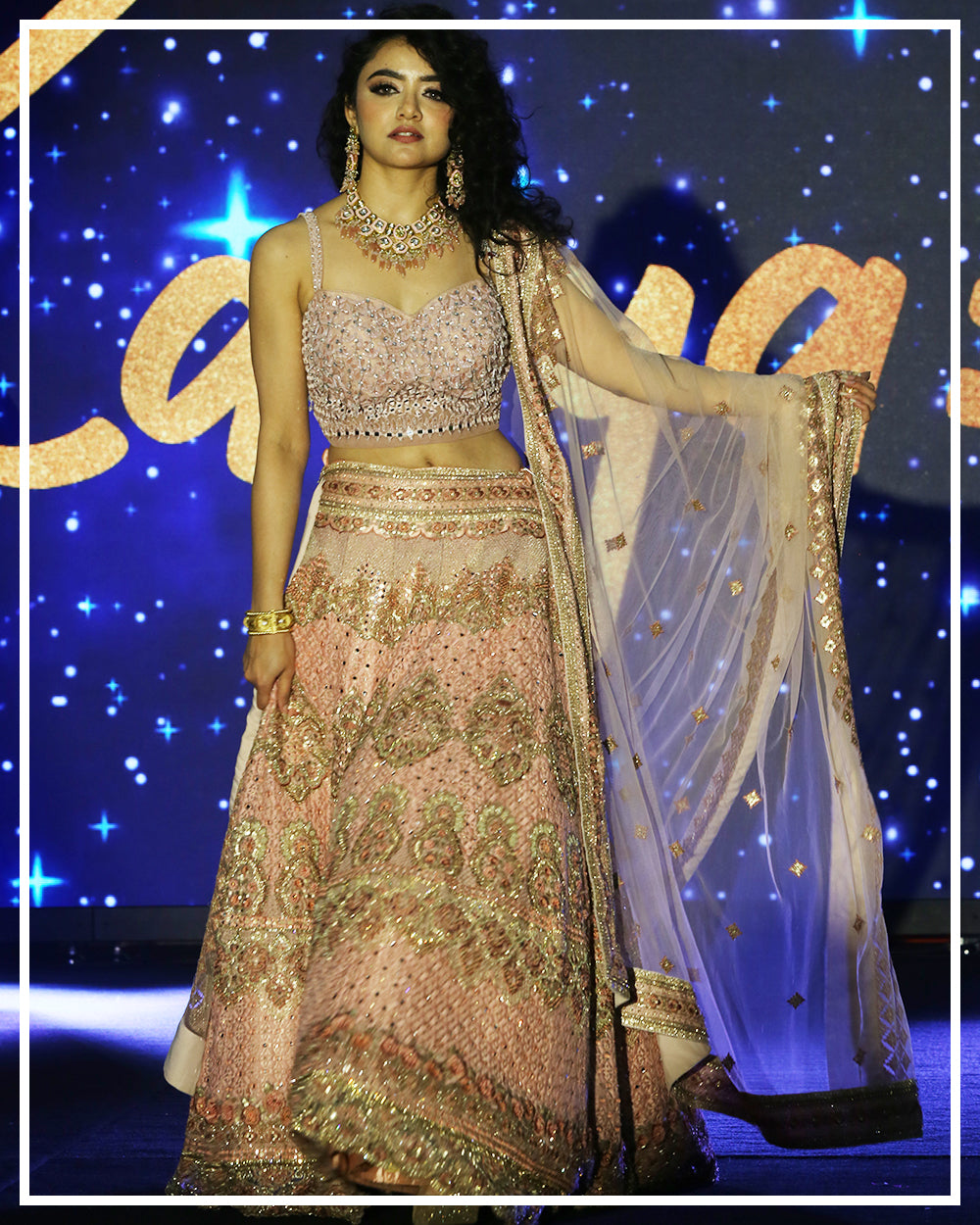 Blush Pink Embroidered Lehenga